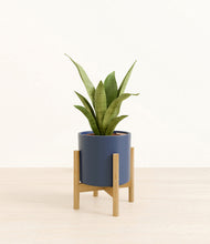 Load image into Gallery viewer, Deep Navy stand:bamboo