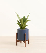 Load image into Gallery viewer, Deep Navy stand:walnut