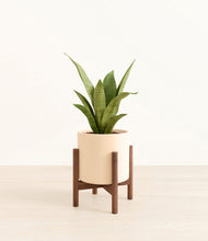 Load image into Gallery viewer, Cream stand:walnut