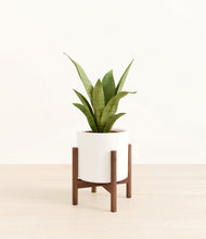 Load image into Gallery viewer, White stand:walnut