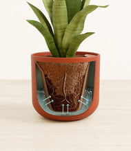 Load image into Gallery viewer, Earth Red