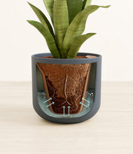 Load image into Gallery viewer, Iron Gray