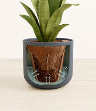 Load image into Gallery viewer, Iron Gray stand:all