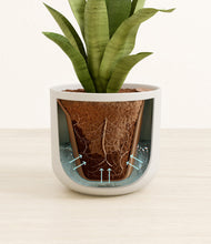 Load image into Gallery viewer, Natural Bamboo