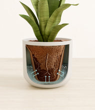 Load image into Gallery viewer, Natural Bamboo stand:all