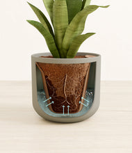Load image into Gallery viewer, Sage Green stand:all
