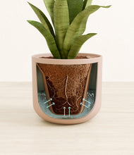 Load image into Gallery viewer, Sandy Pink