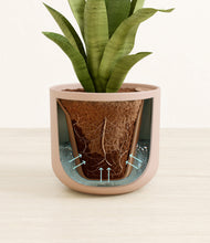 Load image into Gallery viewer, Sandy Pink stand:all