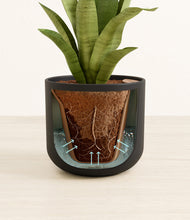 Load image into Gallery viewer, Stone Black