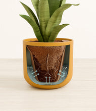 Load image into Gallery viewer, Sunset Orange