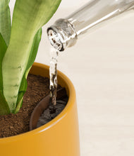 Load image into Gallery viewer, Mustard stand:all