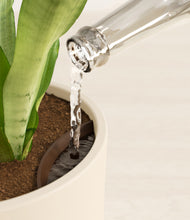 Load image into Gallery viewer, Cream stand:all