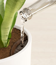 Load image into Gallery viewer, White stand:all