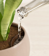 Load image into Gallery viewer, Desert Brown stand:all