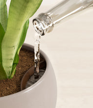 Load image into Gallery viewer, Winter Clouds stand:all