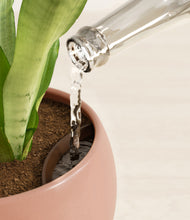 Load image into Gallery viewer, Calm Rose stand:all