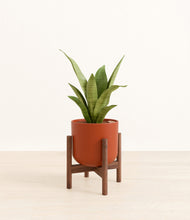 Load image into Gallery viewer, Earth Red stand:walnut