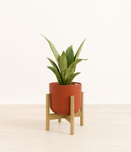 Load image into Gallery viewer, Earth Red stand:bamboo