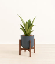 Load image into Gallery viewer, Iron Gray stand:walnut