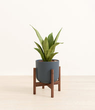 Load image into Gallery viewer, Iron Gray stand:walnut