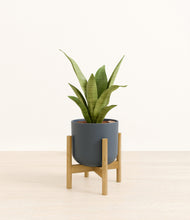 Load image into Gallery viewer, Iron Gray stand:bamboo