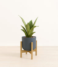 Load image into Gallery viewer, Iron Gray stand:bamboo