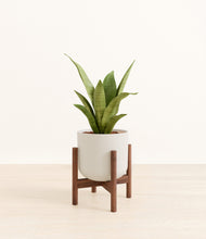 Load image into Gallery viewer, Natural Bamboo stand:walnut