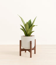 Load image into Gallery viewer, Natural Bamboo stand:walnut