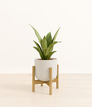 Load image into Gallery viewer, Natural Bamboo stand:bamboo