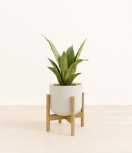 Load image into Gallery viewer, Natural Bamboo stand:bamboo