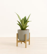Load image into Gallery viewer, Sage Green stand:bamboo