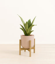 Load image into Gallery viewer, Sandy Pink stand:bamboo