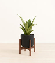 Load image into Gallery viewer, Stone Black stand:walnut