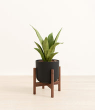 Load image into Gallery viewer, Stone Black stand:walnut