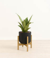 Load image into Gallery viewer, Stone Black stand:bamboo