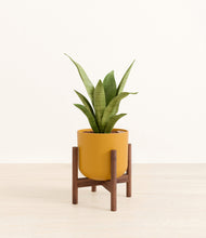 Load image into Gallery viewer, Sunset Orange stand:walnut