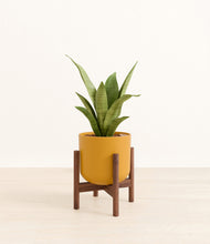 Load image into Gallery viewer, Sunset Orange stand:walnut