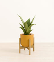 Load image into Gallery viewer, Sunset Orange stand:bamboo