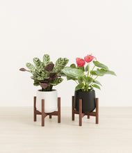 Load image into Gallery viewer, Orca stand:two_stands