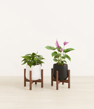 Load image into Gallery viewer, Orca stand:two_stands