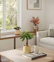 Load image into Gallery viewer, Sandy stand:one_stand
