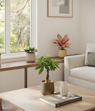 Load image into Gallery viewer, Woodland
