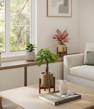 Load image into Gallery viewer, Woodland stand:two_stands