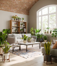 Load image into Gallery viewer, Countryside stand:fourteen_stands