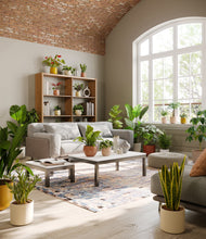 Load image into Gallery viewer, Evening Sky