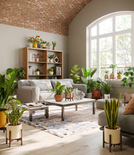 Load image into Gallery viewer, Evening Sky stand:thirteen_stands