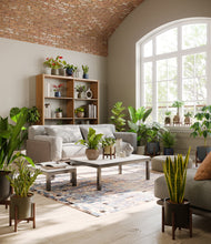 Load image into Gallery viewer, Winding River stand:thirteen_stands