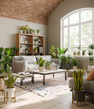 Load image into Gallery viewer, Countryside stand:fourteen_stands