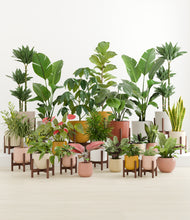 Load image into Gallery viewer, Evening Sky stand:fourteen_stands