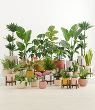 Load image into Gallery viewer, Evening Sky stand:nine_stands